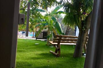 Garden view