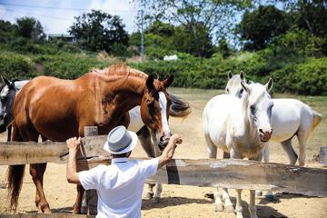 Horseback riding