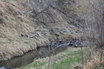 Property Grounds 64 of 66