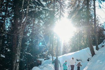 Snowshoeing