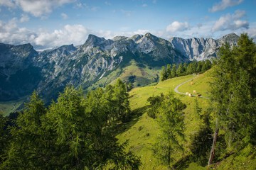 Hiking