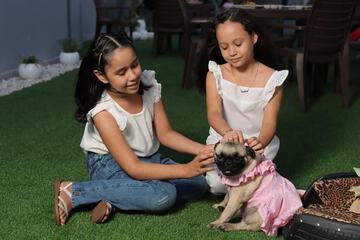 Pet-friendly