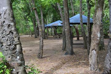 Photo 44