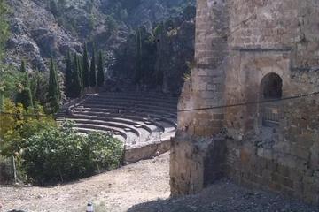 Photo 28