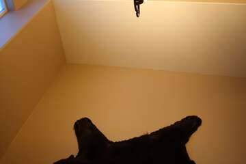 Hotel Interior 4 of 41