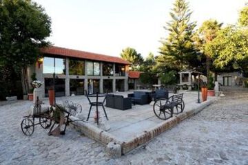 Terrace or Patio