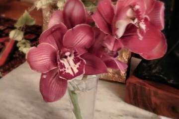 Hotel Interior 17 of 87