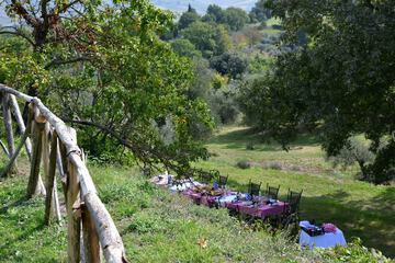 BBQ/picnic area