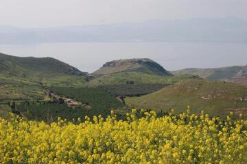 Photo 28