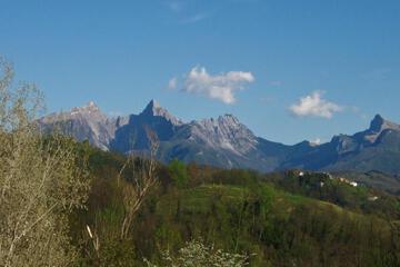 Photo 30