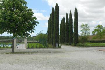 Photo 40