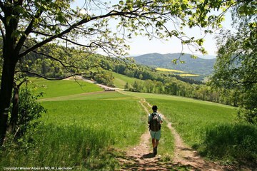 Hiking