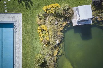 Natural pool