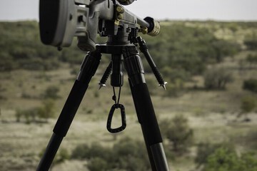 Hunting