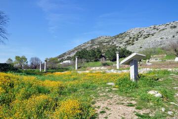 Land view from property