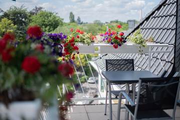 Rooftop terrace