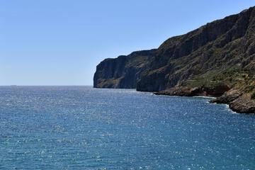 Photo 20