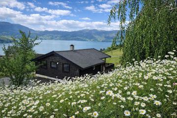 Photo 44