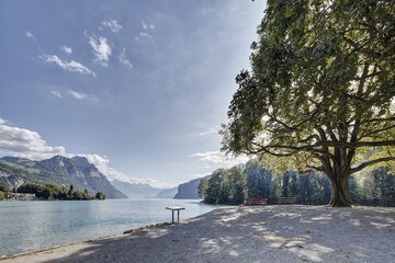 Lake