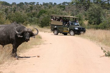 Game drive