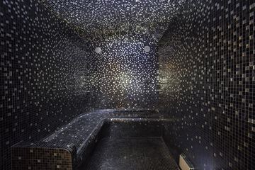 Steam room