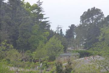 Photo 55