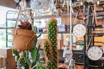 Gift shop