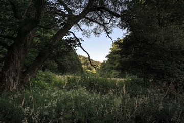 Hiking