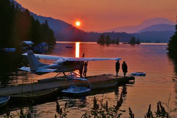 Helicopter/plane tours
