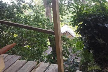 Photo 49