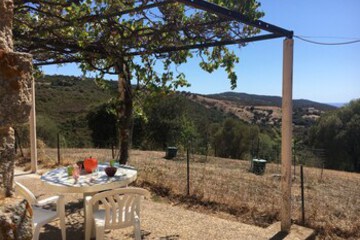 Terrace or Patio