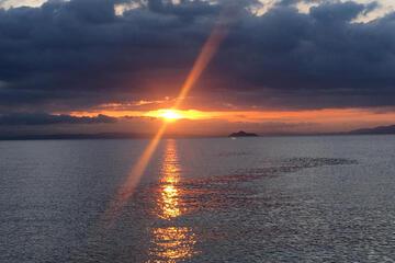 Photo 47
