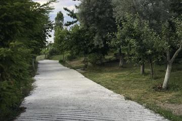 Photo 30