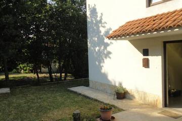 Photo 50
