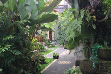 Photo 44
