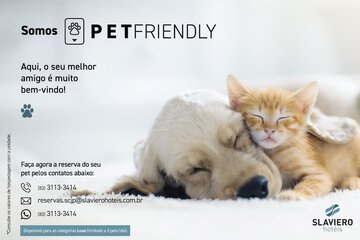 Pet-friendly