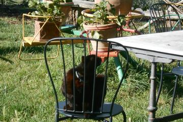 Photo 21