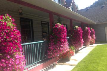 Photo 10