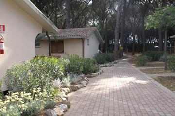 Photo 37