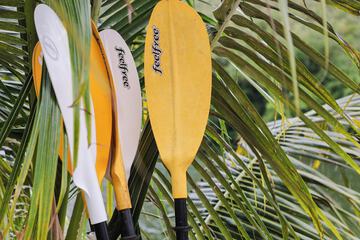 Kayaking