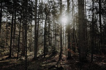 Hiking