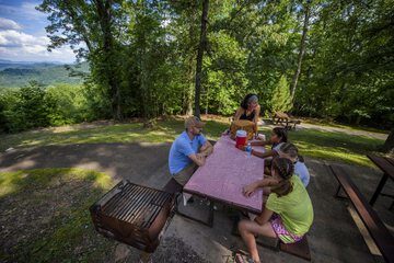 BBQ/picnic area