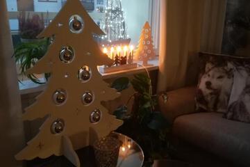 Photo 24