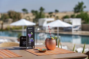 Swim-up bar