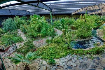 Garden view