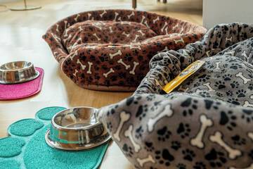 Pet-friendly amenities