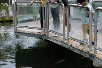 Land view from property