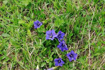 Photo 29