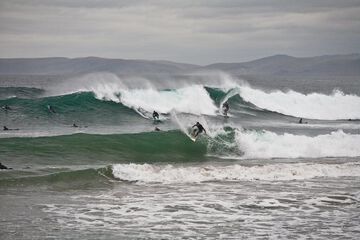 Surfing/boogie boarding
