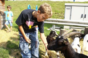 Children's activities